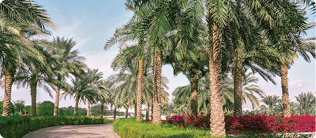 Nueve by ZOYA Dubai – Fully Furnished Studios, 1 & 2 Bedroom Apartments in Dubai Land Residence Complex